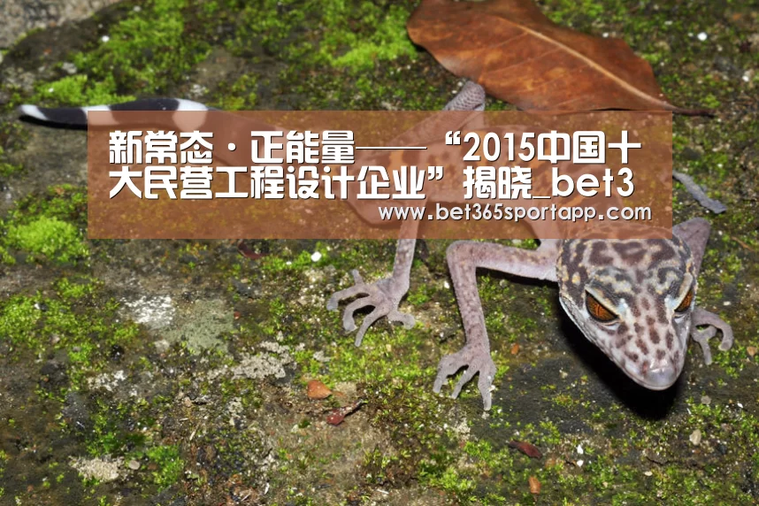 新常态·正能量——“2015中国十大民营工程设计企业”揭晓_bet365网站(图3) bet365体育官网